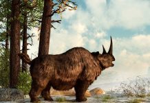 Các động vật có vú thời kỳ tiền sử