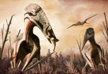 Sinh vật cổ đại ở sa mạc Gobi từng săn khủng long con làm thức ăn Dực long khổng lồ