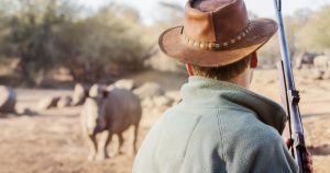 Con người đã đóng vai trò gì trong sự tuyệt chủng của các loài hiện đại?