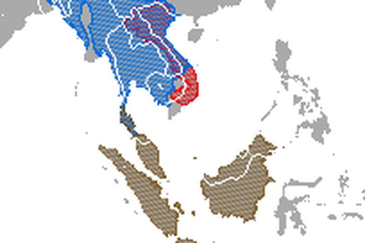 Distribution map of the 3 slow loris species of South and Southeast Asia
order Primates, family Lorisidae, genus Nyctice