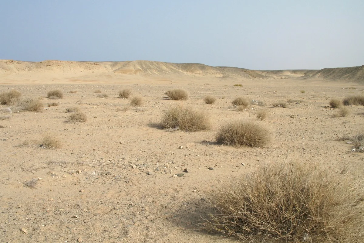 Sa mạc gần Marsa Mubarak (Marsa Alam, Ai Cập)