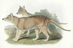 Tuyệt chủng là gì