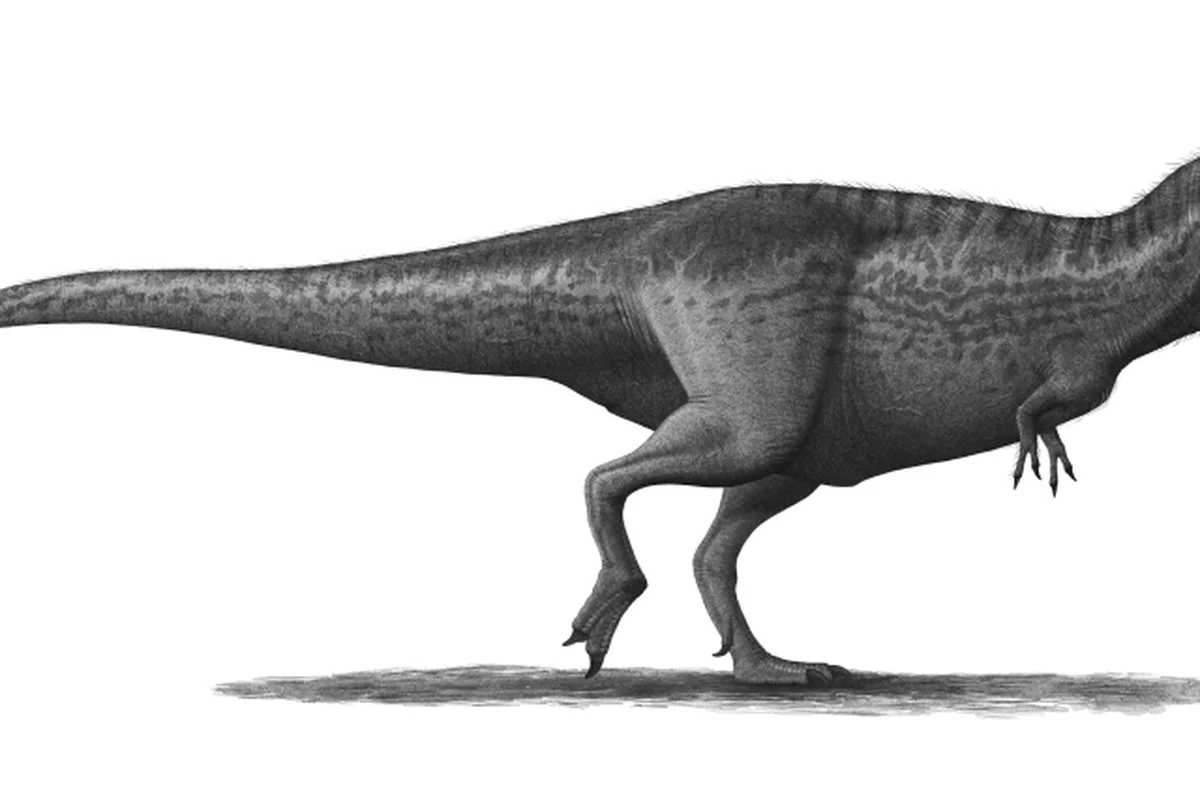 Sự phục hồi cuộc sống của loài khủng long Tyrannosaurus rex.